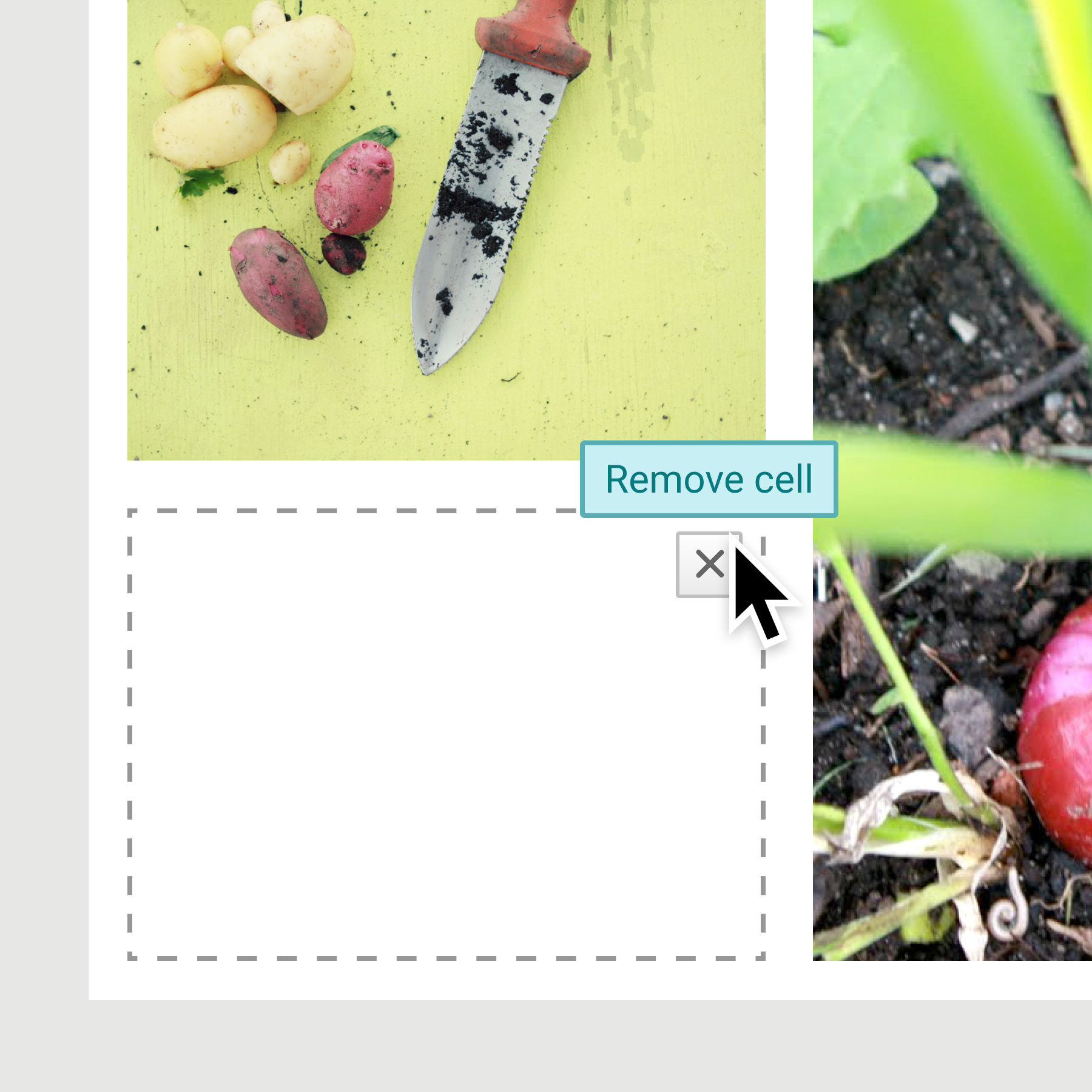 Images and cells could be removed, automatically preserving the column structure.