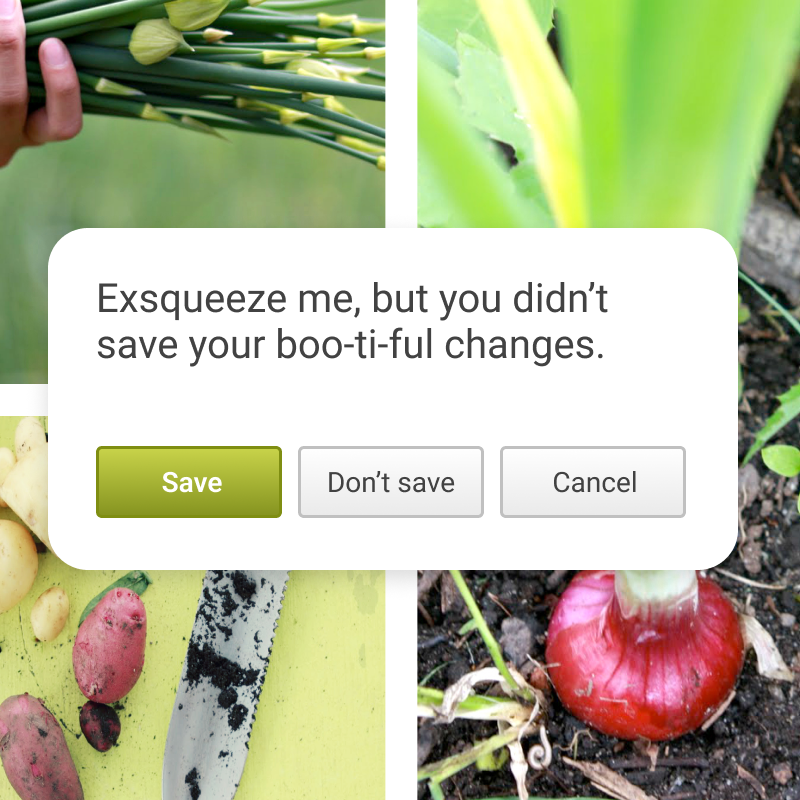 PicMonkey dialog