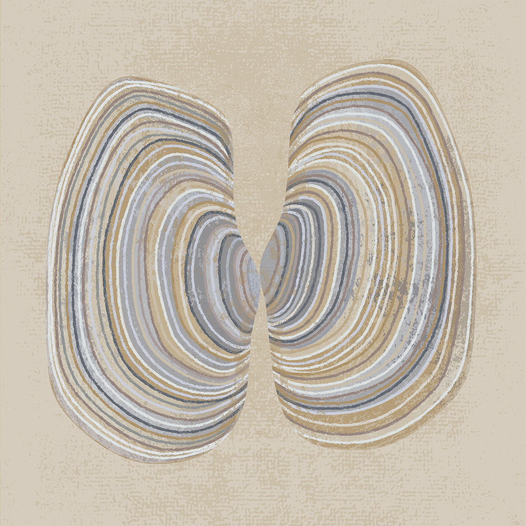 DS-20.png