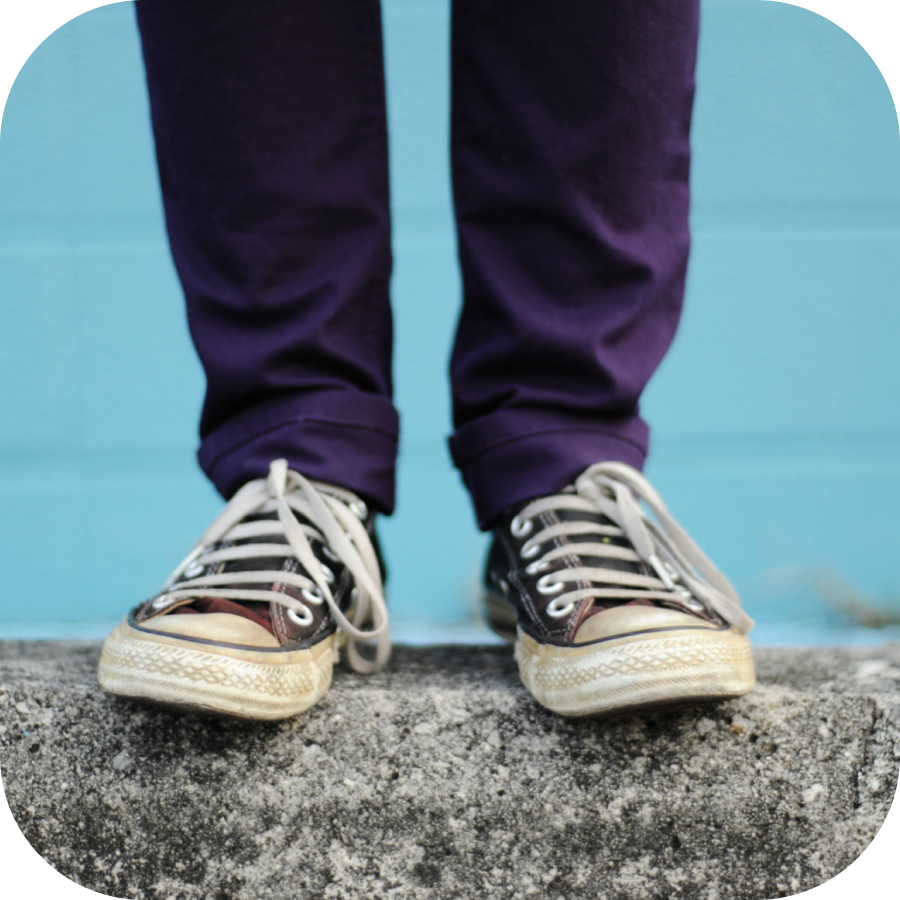 PicMonkey Themes