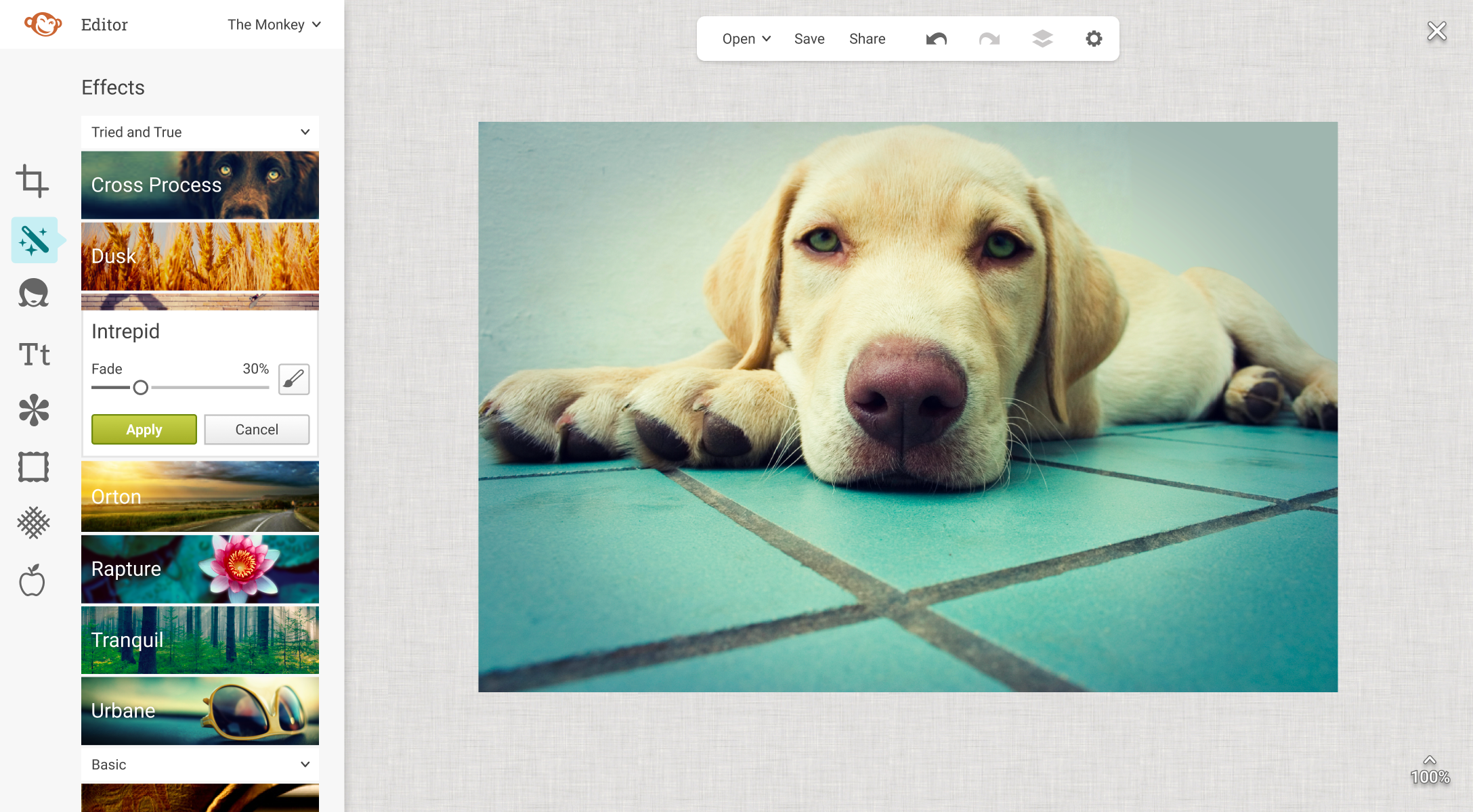 PicMonkey Editor