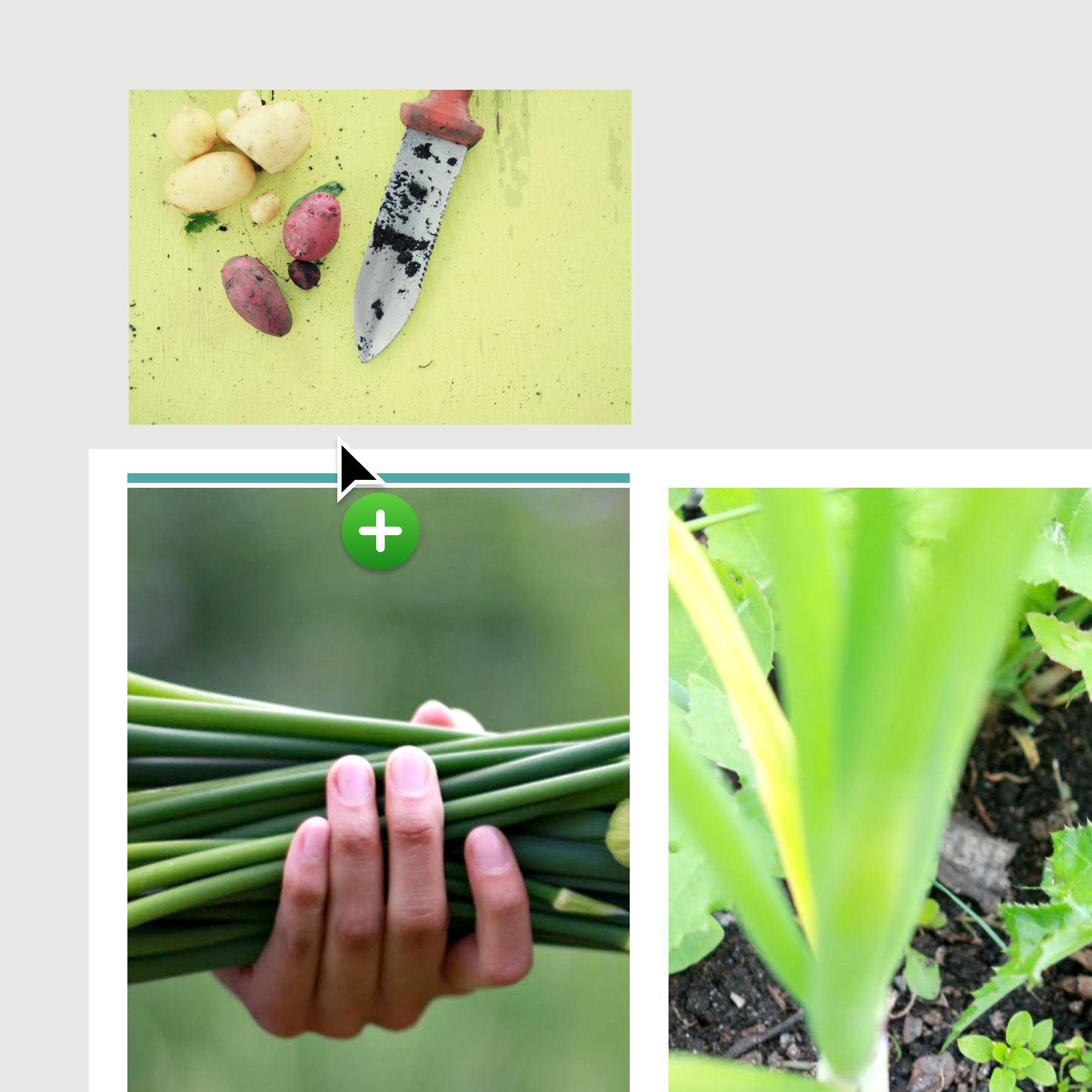 New rows and columns could be added by dragging an image to the border edge.