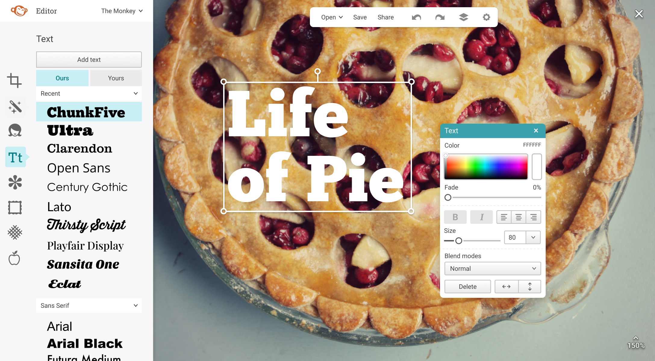PicMonkey Editor Text
