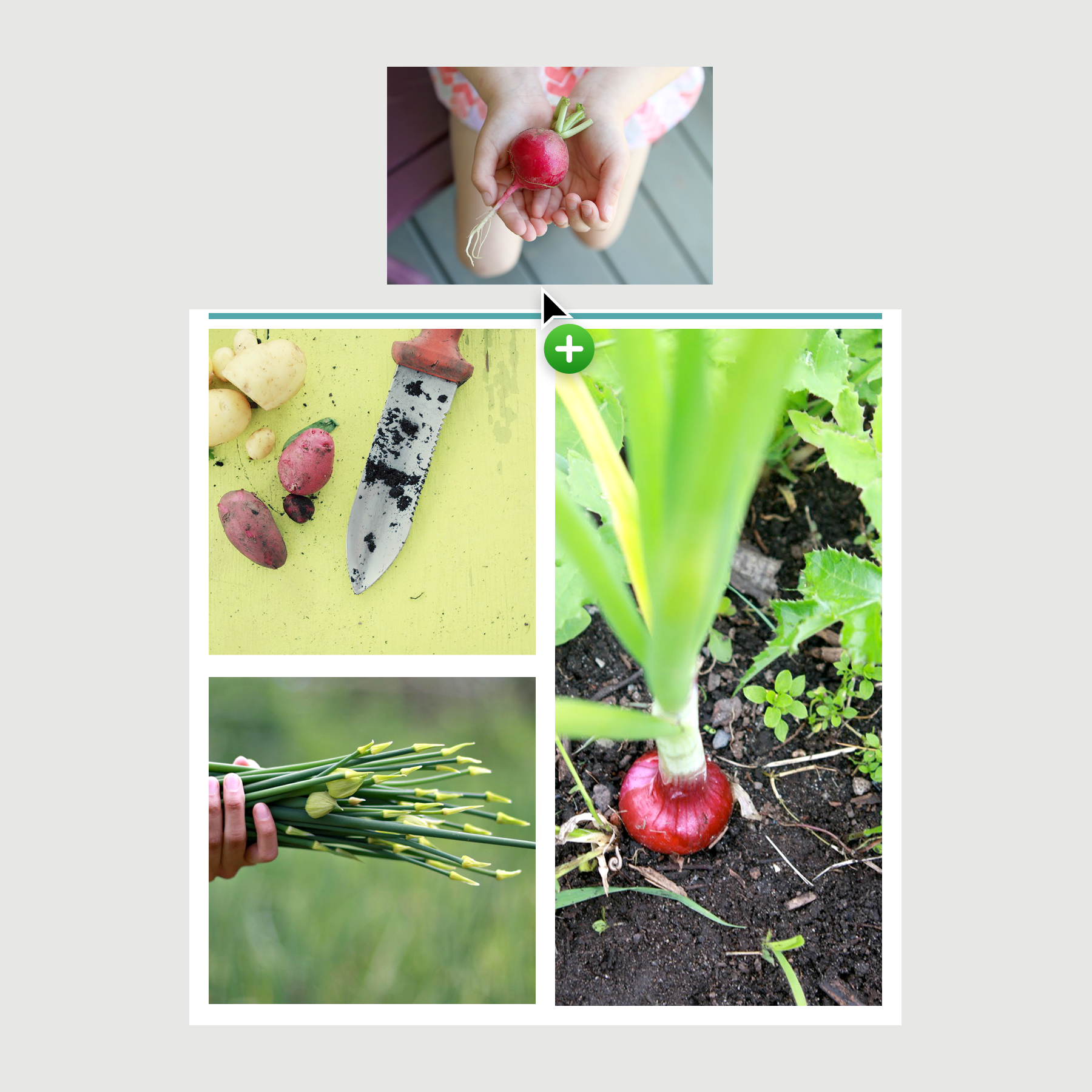 Full-width rows and columns could be created by dragging an image to the outer edge.