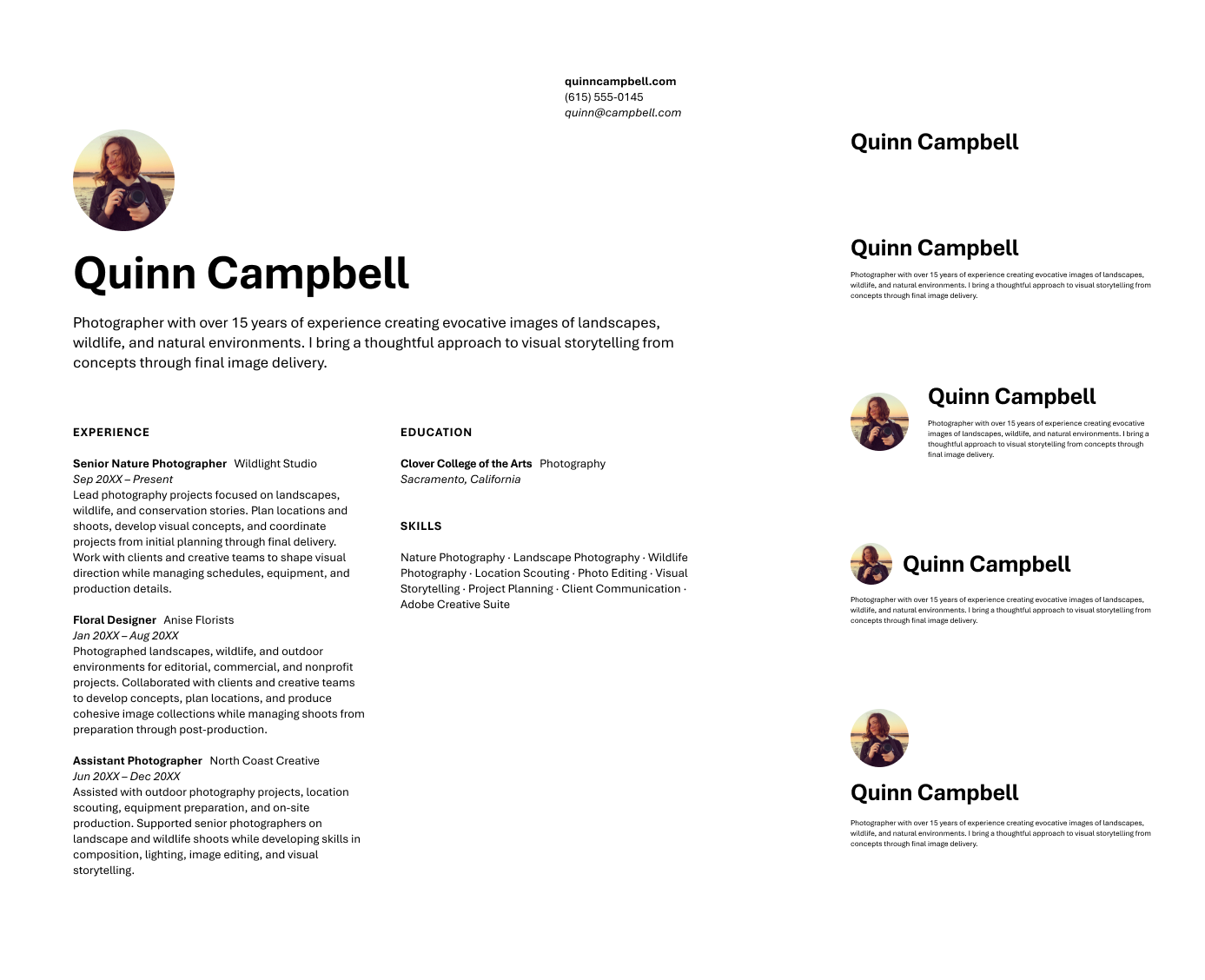 Resume content examples