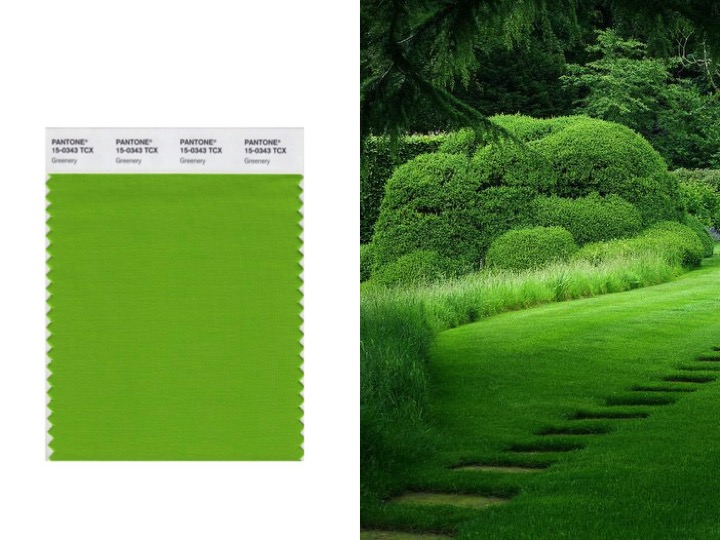 Left: Pantone 2017 COY - Greenery / Right: image via Pinterest