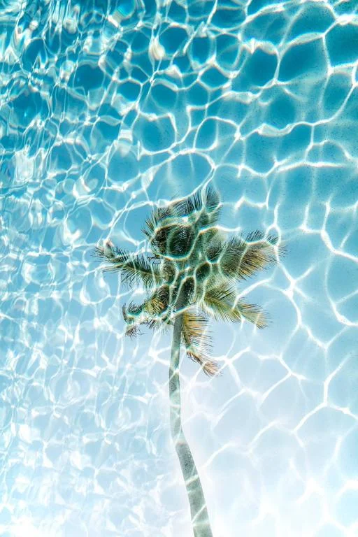 Photography by Chris Leidy "Palm Pool" 2015 