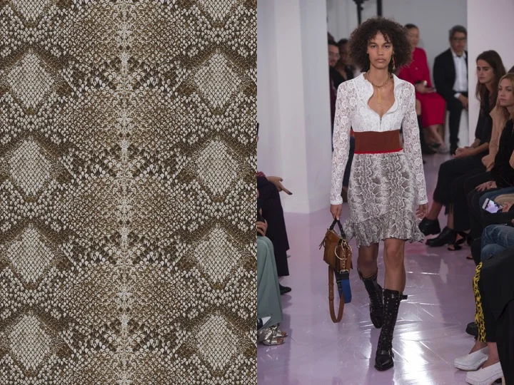 Left: Design no. nx00290-1 / Left: Chloe RTW SS'18
