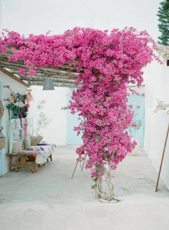 Ibiza, Spain 