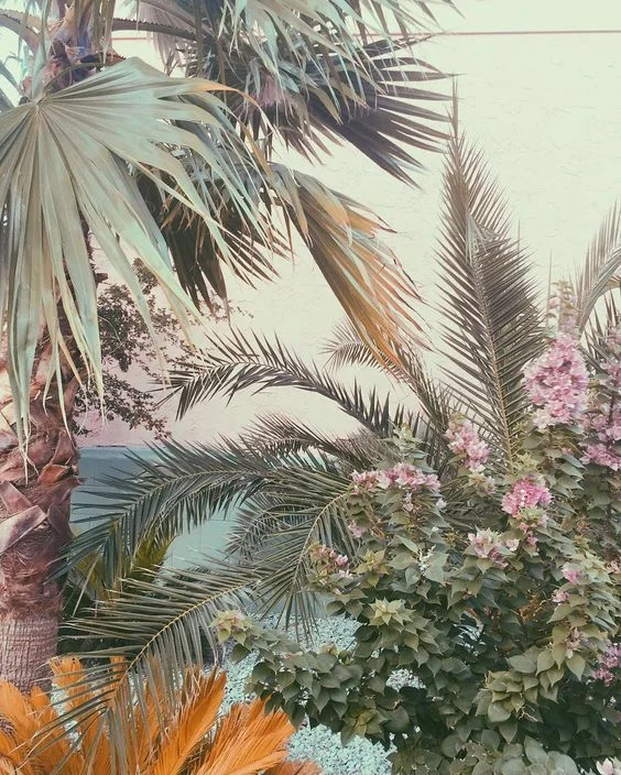 Image via Tumblr