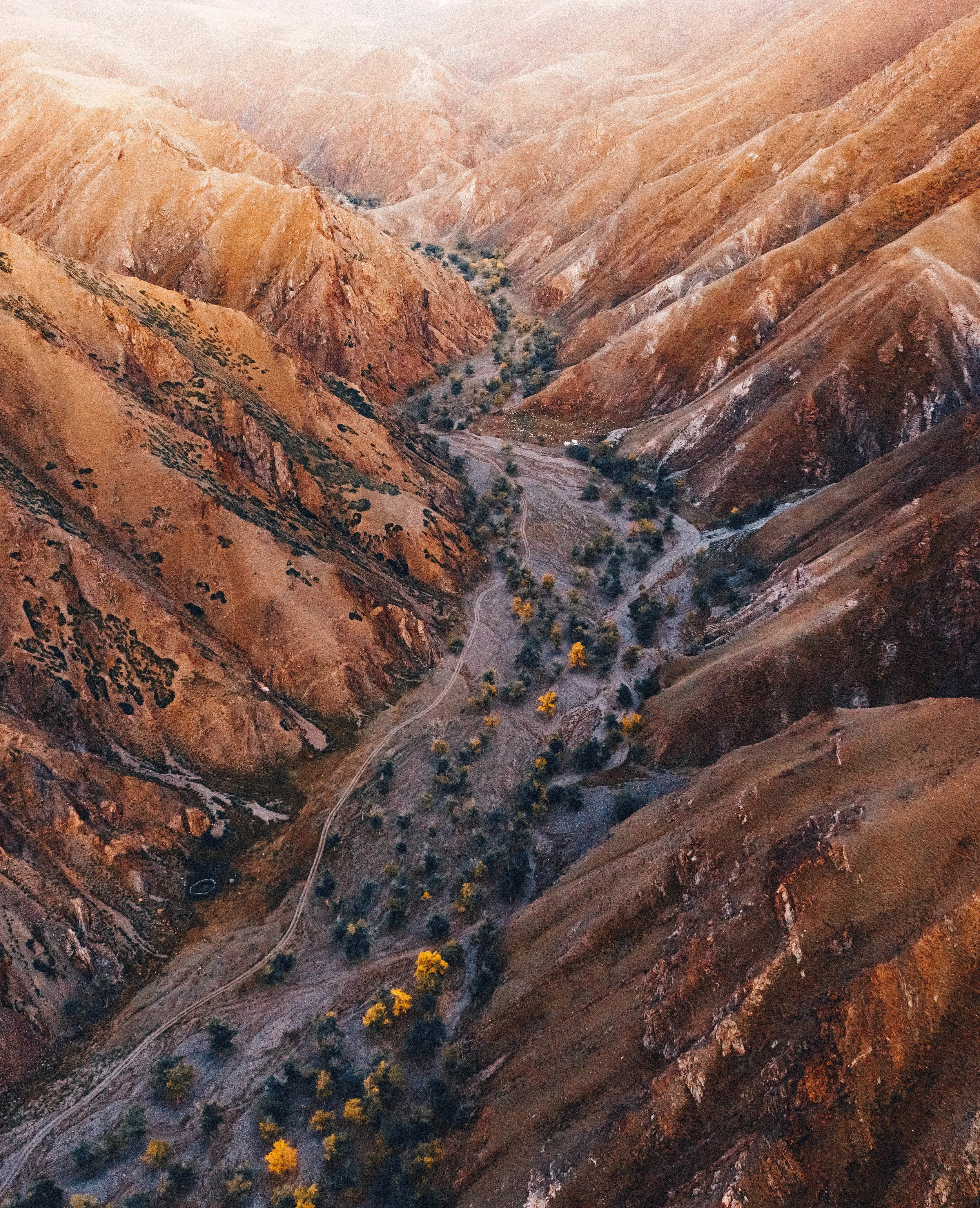 ABC 2019 Volunteer - Rory Dowdall