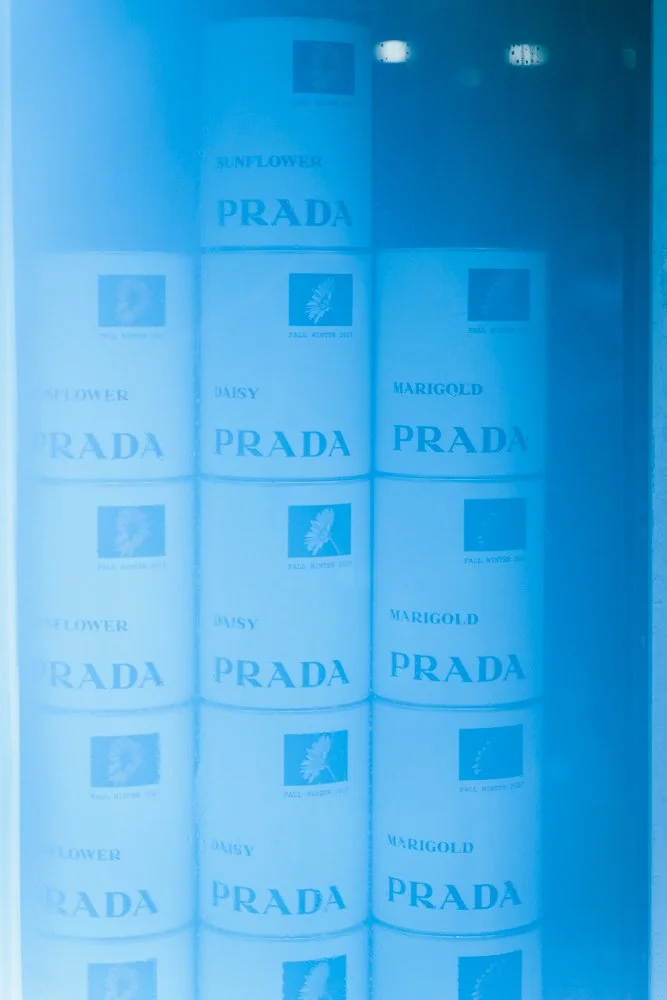 PRADA-62.jpg