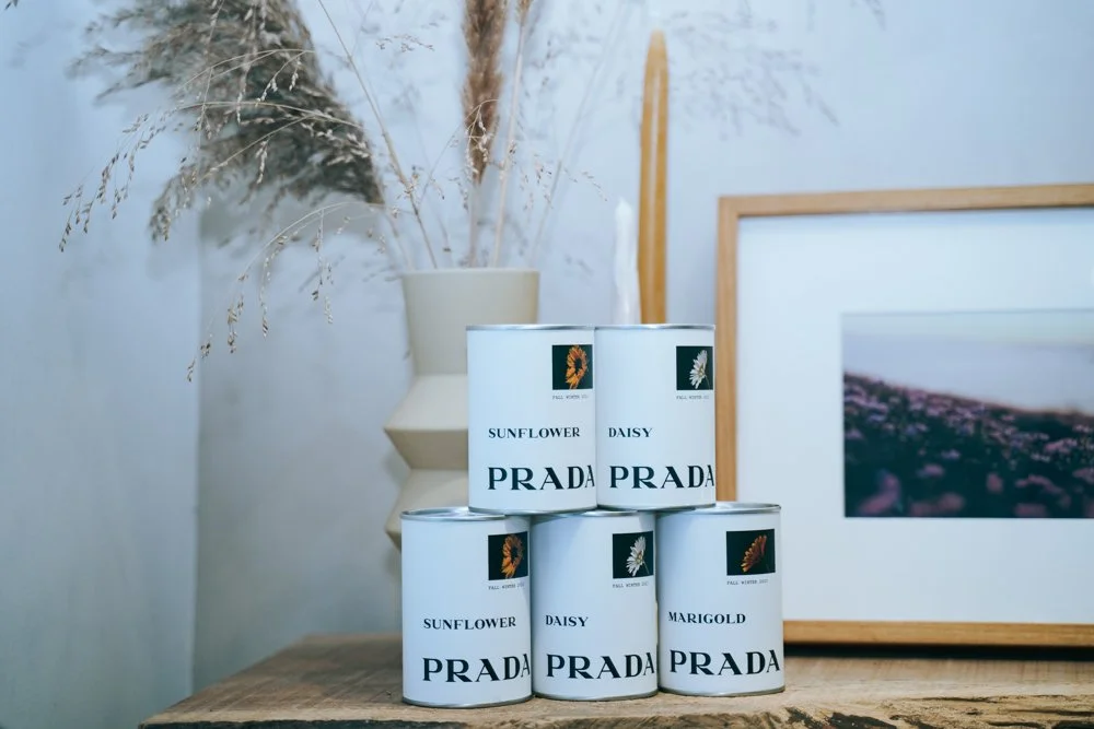PRADA-61.jpg