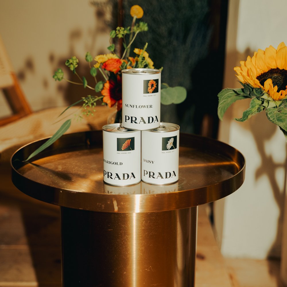PRADA-23.jpg