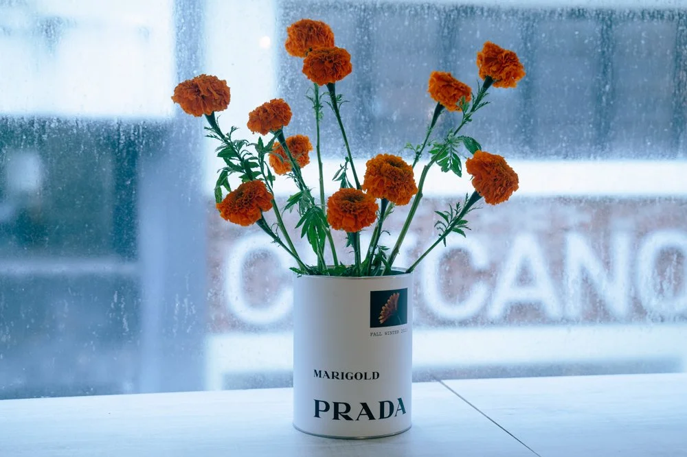 PRADA-20.jpg