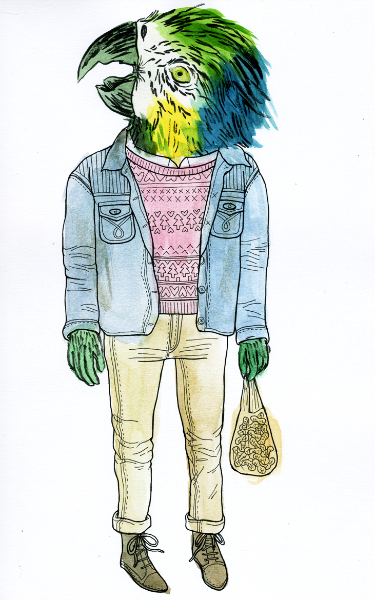 Macaw with Peanuts
