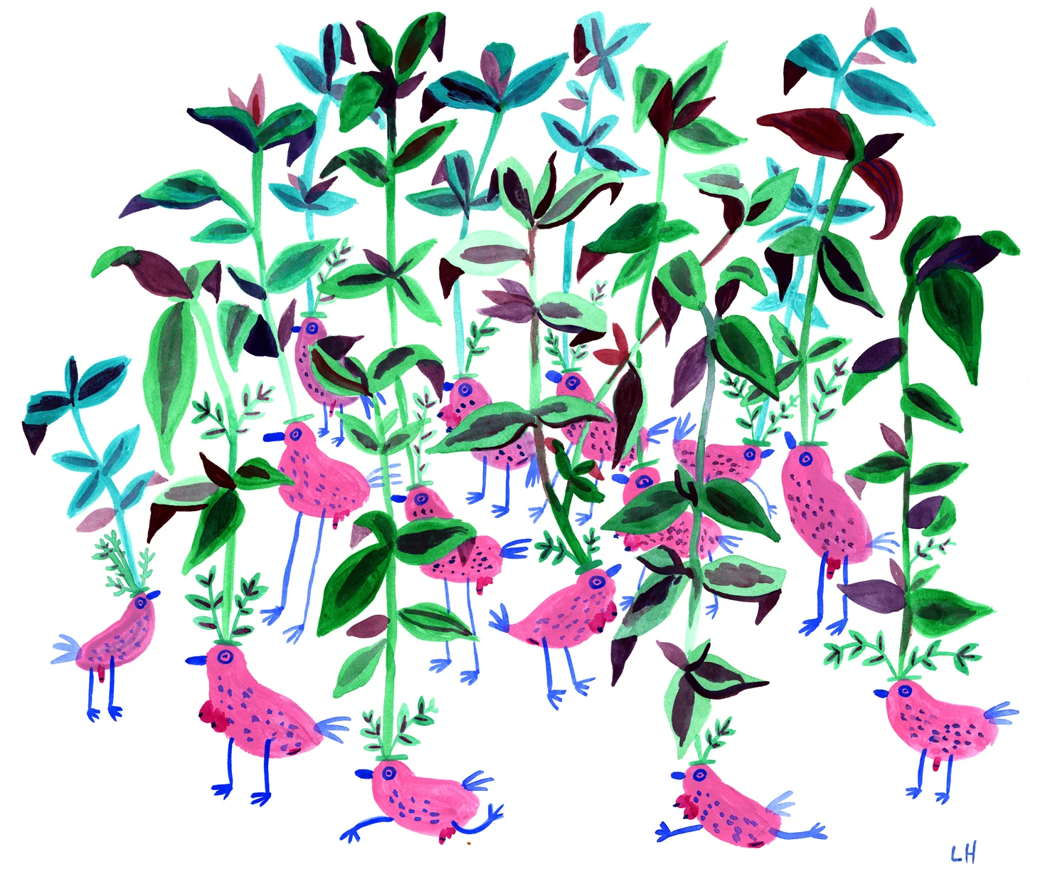 Dicktit Birds