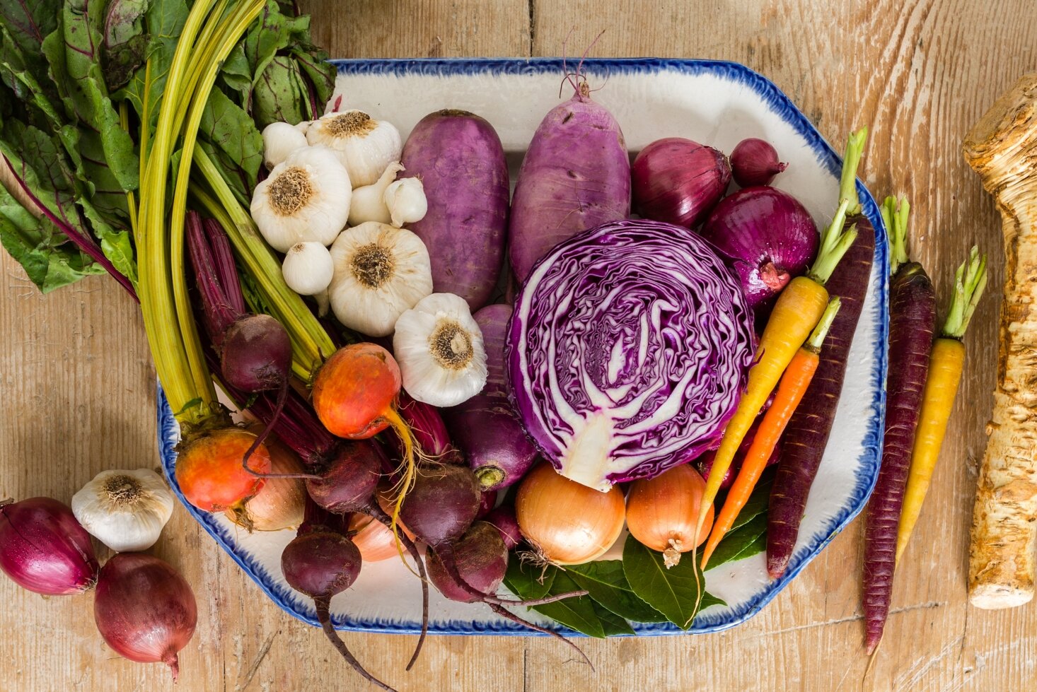 cabbage-beets-garlic-carrots-onions-marta-xochilt-perez-1466x979.jpg