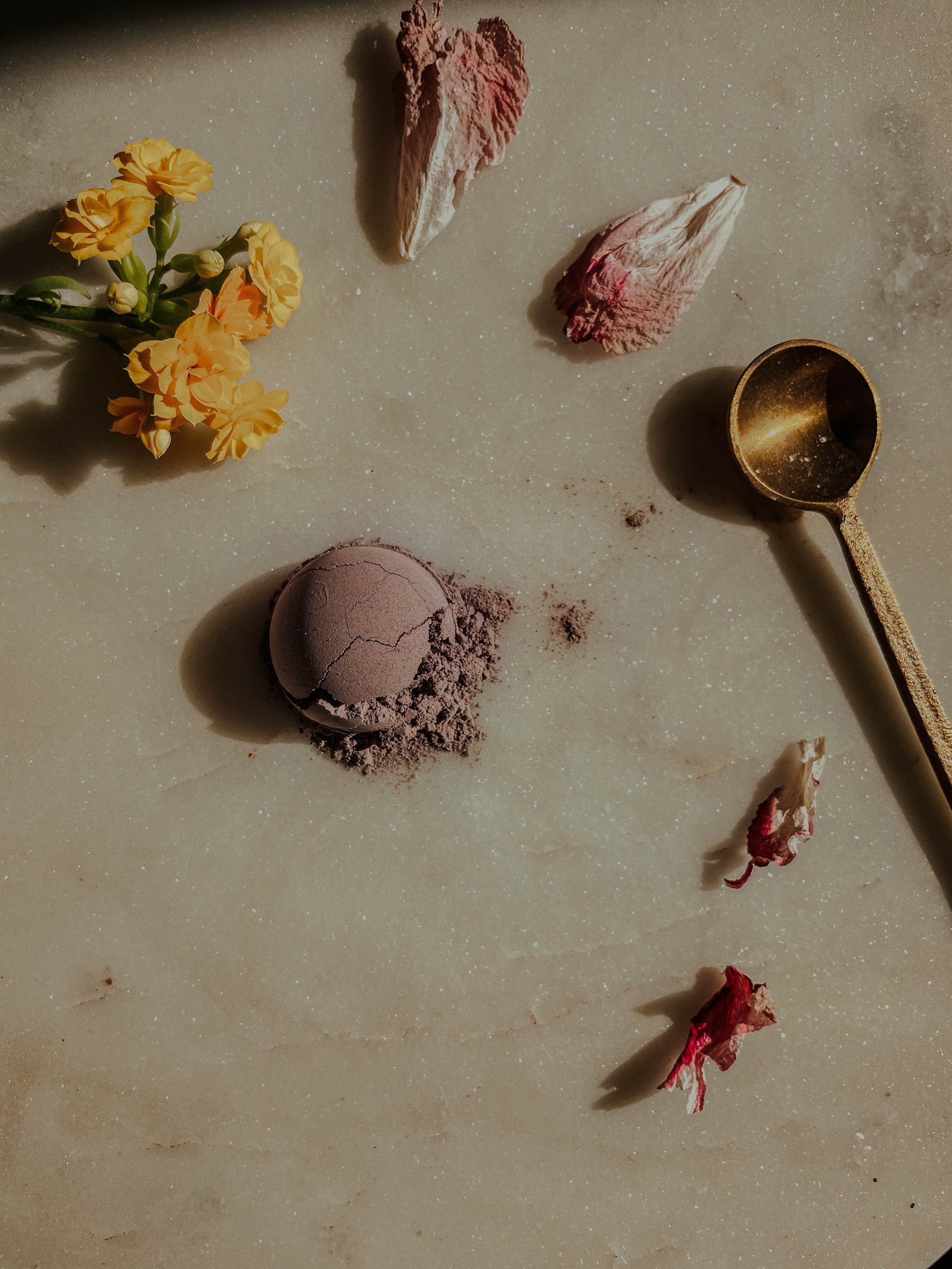 CC-Squarespace-CourseBanner-2.jpg