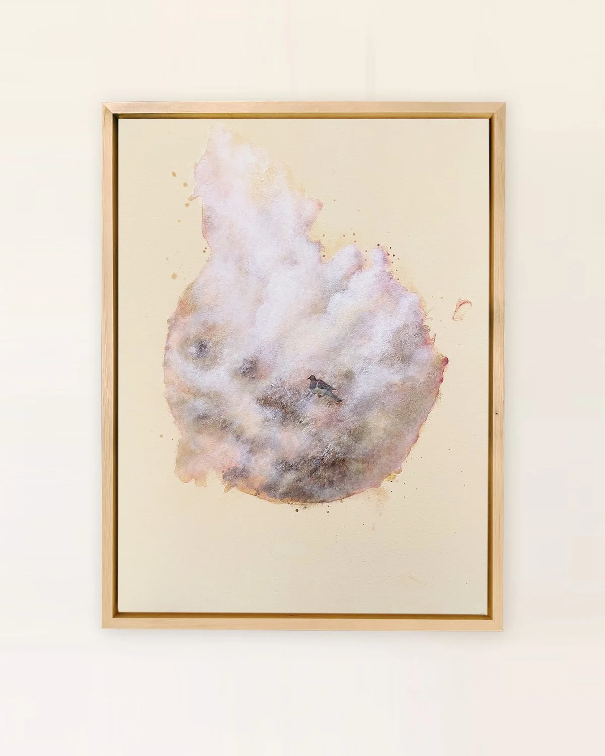 Kererū Wood Pigeon Bird Song