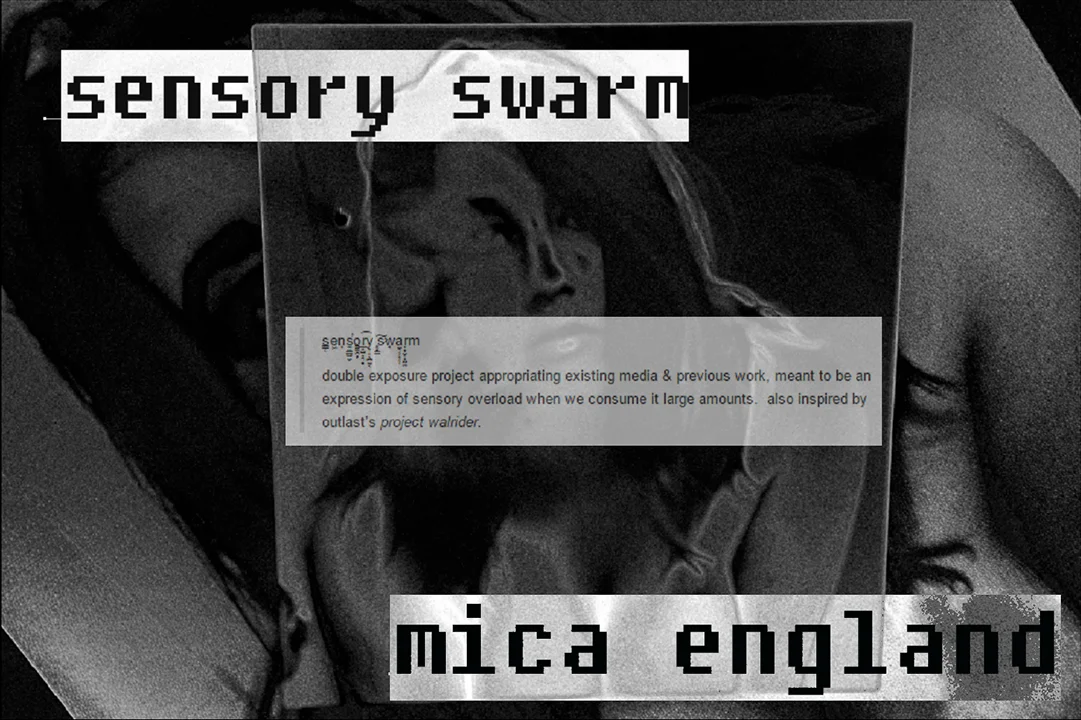 sensory+swarm+final.jpg