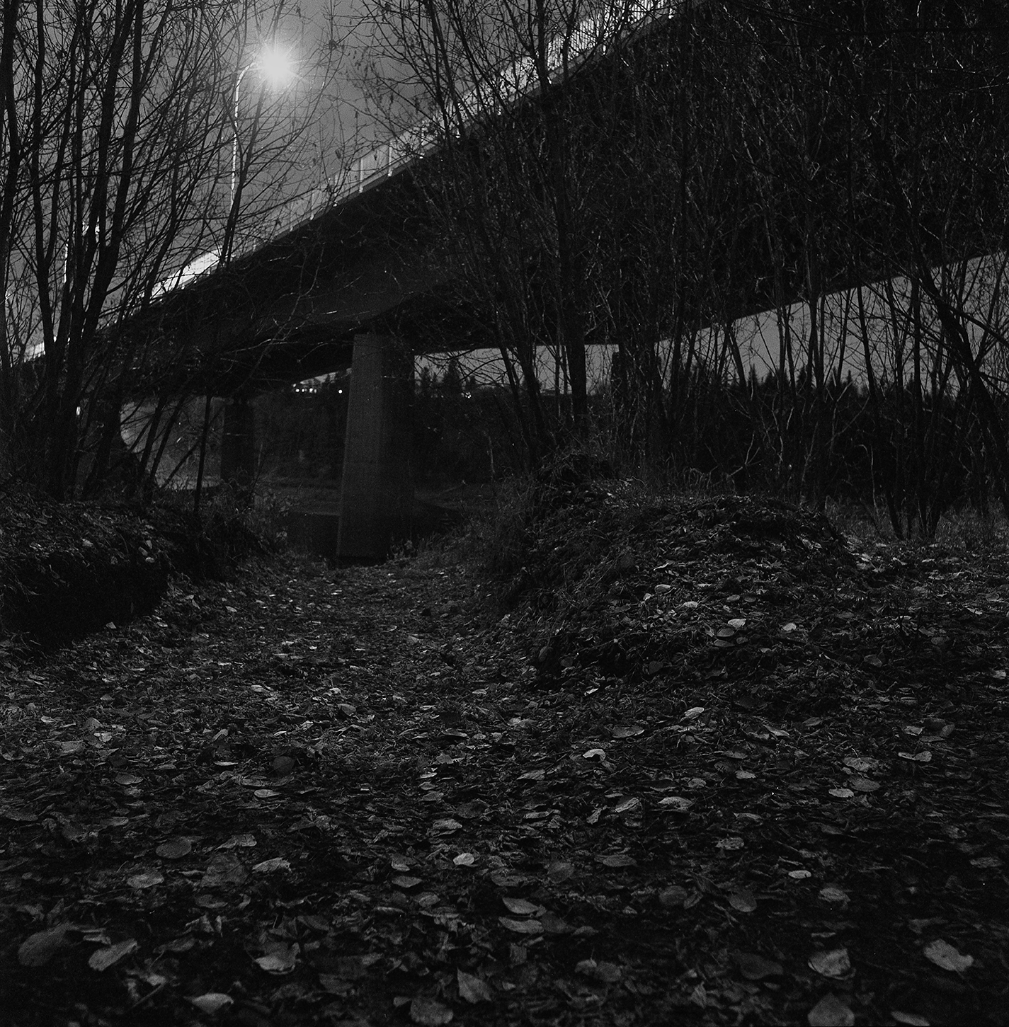 under the bridge 1.png