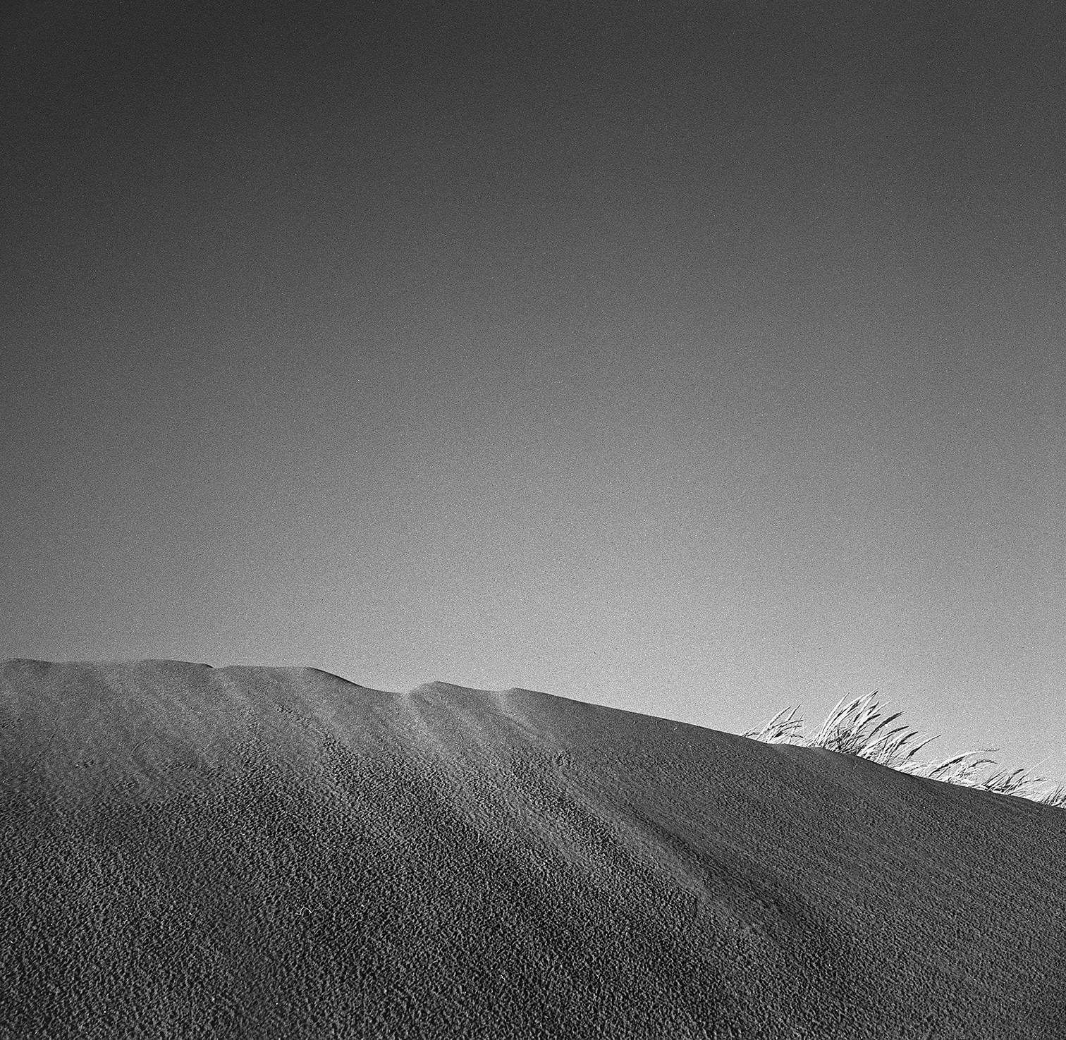 dunes.png