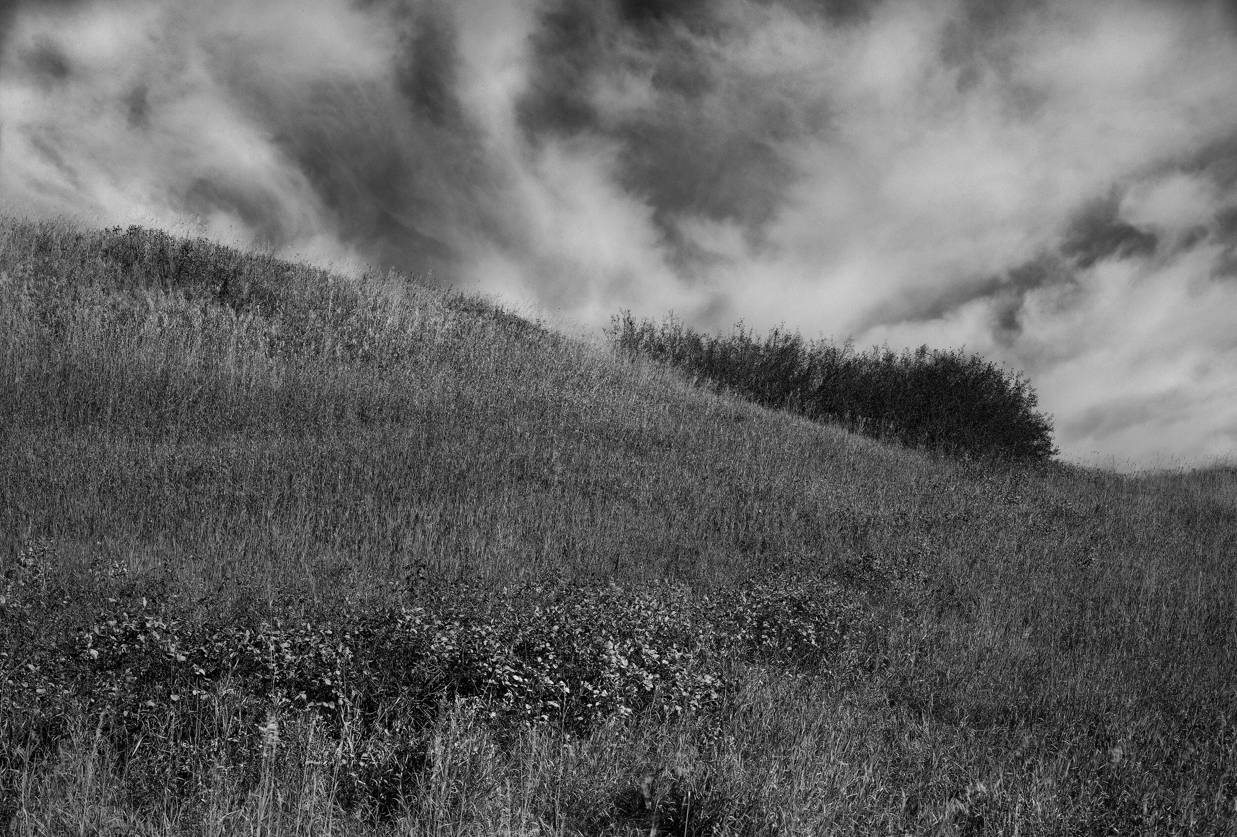 %22Little Narco Pill Dream.jpg