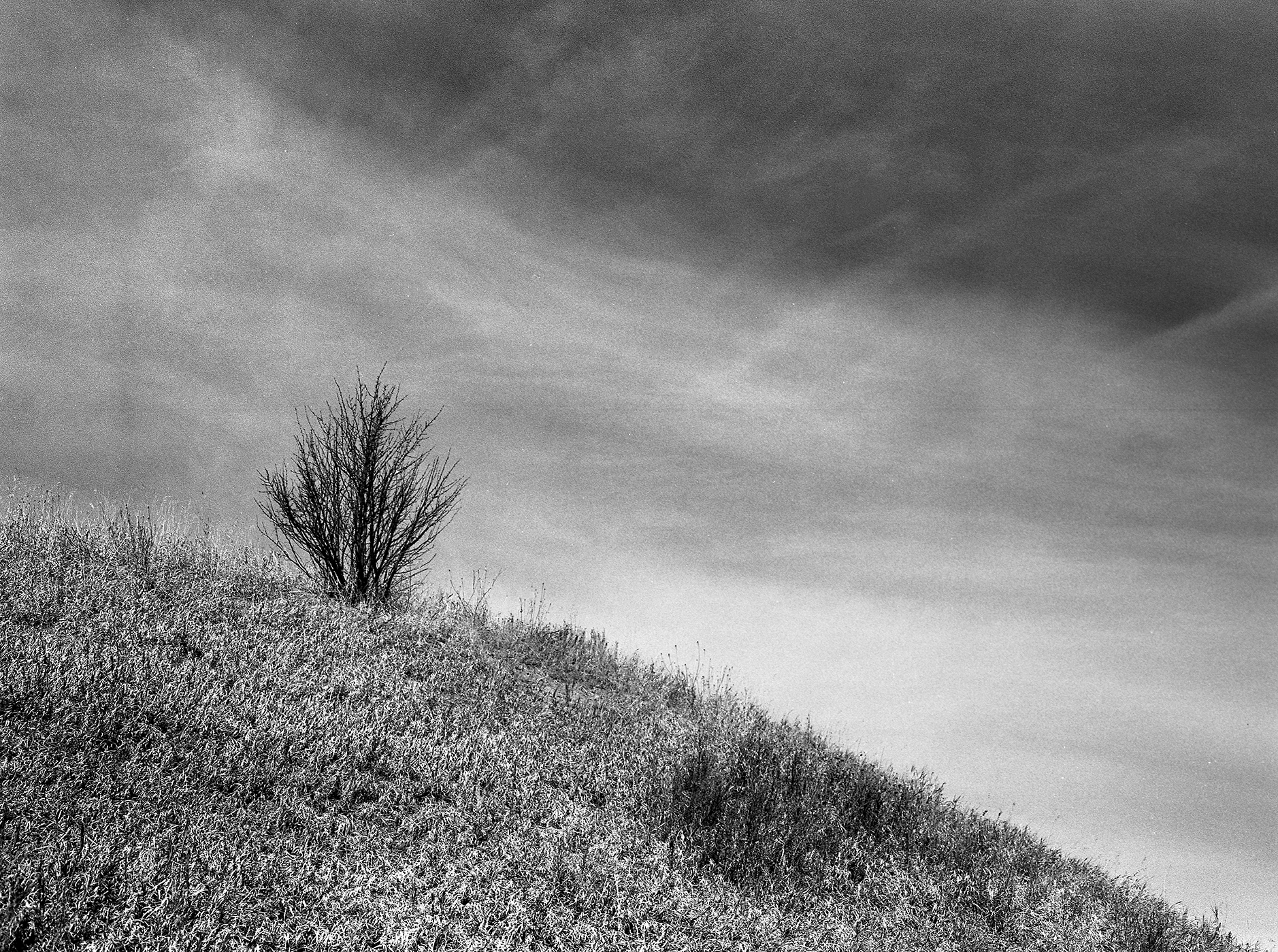 Pre Spring Study No.10.png