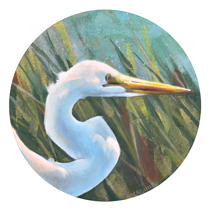 Heron Portrait