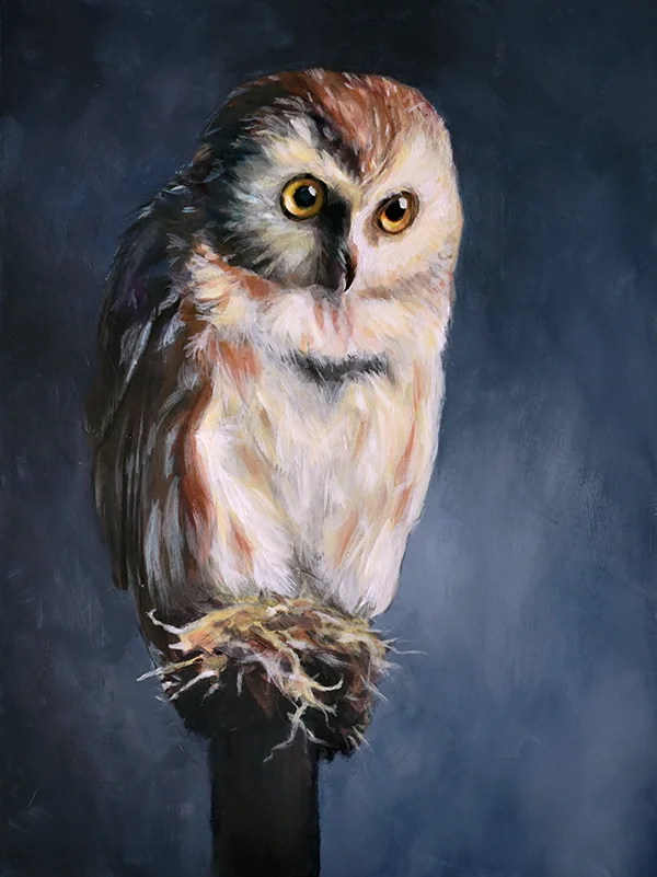 web-Owl_Full-adjusted.jpg