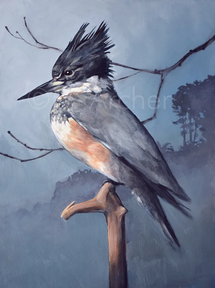wm-web-kingfisher-full.jpg