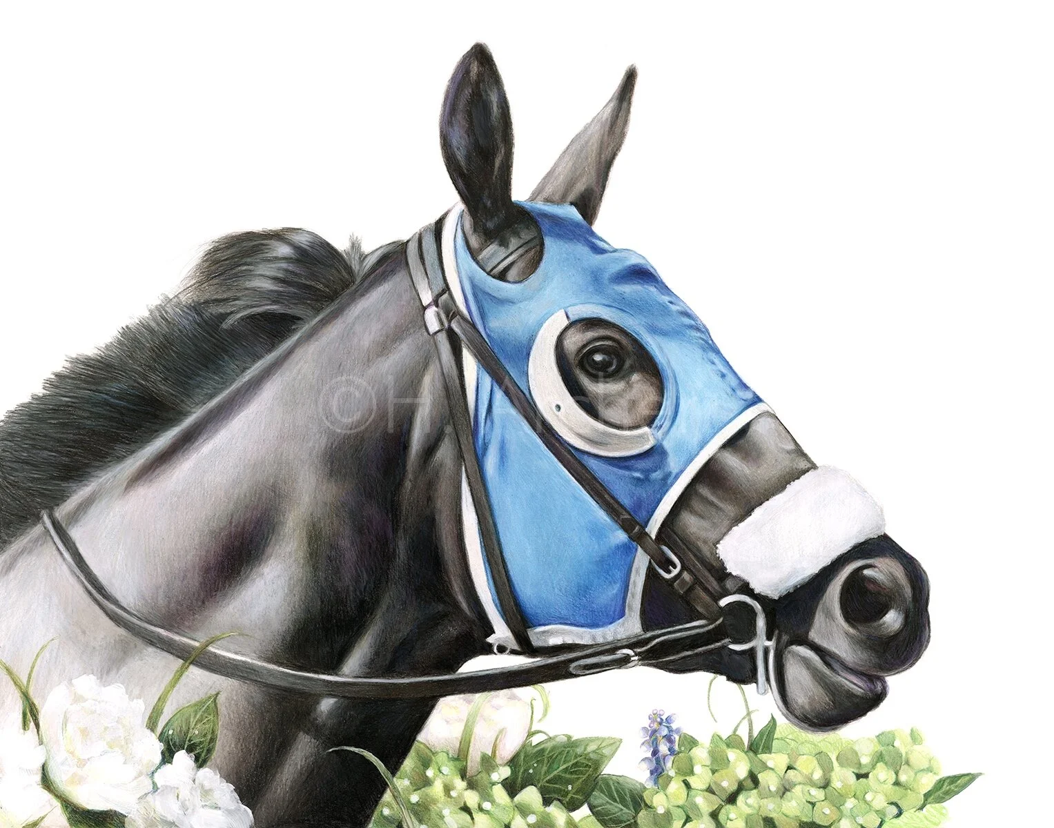 In the Limelight: Blue