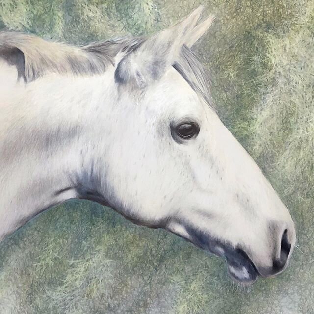 Somebody asked me recently if I'd drawn or painted any horses without tack. Thinking about unbridled horses brought up visions of #spanishmoss - one of my favorite sights in the south.. love how something so wild can be so serene at the same time. ⁠ 