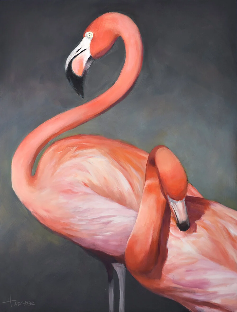 Flamingos_1_finalizedphoto-web.jpg