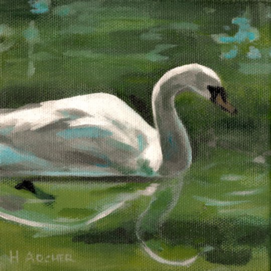 Swan-small.jpg