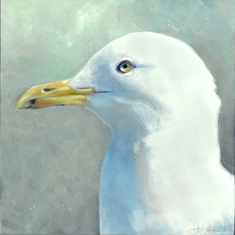 Glamour Gull II