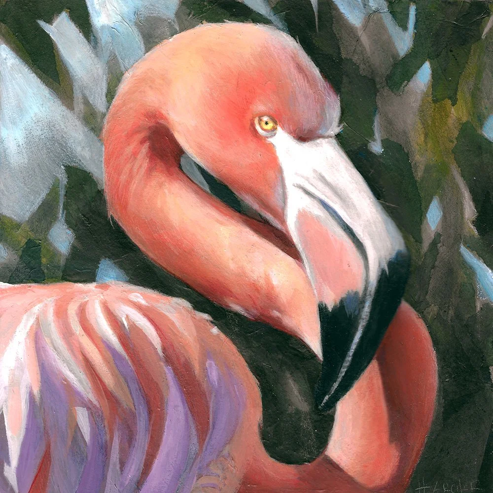 Flamingo_Study_Portrait-sm.jpg