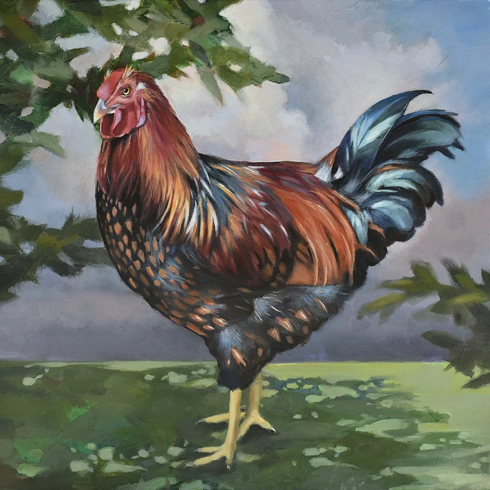Rooster-sm.jpg