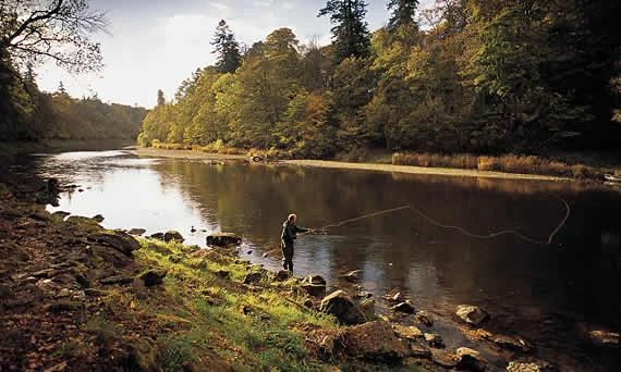 river-tweed-fishing.jpg