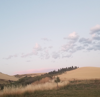 yoga clouds pic.jpeg