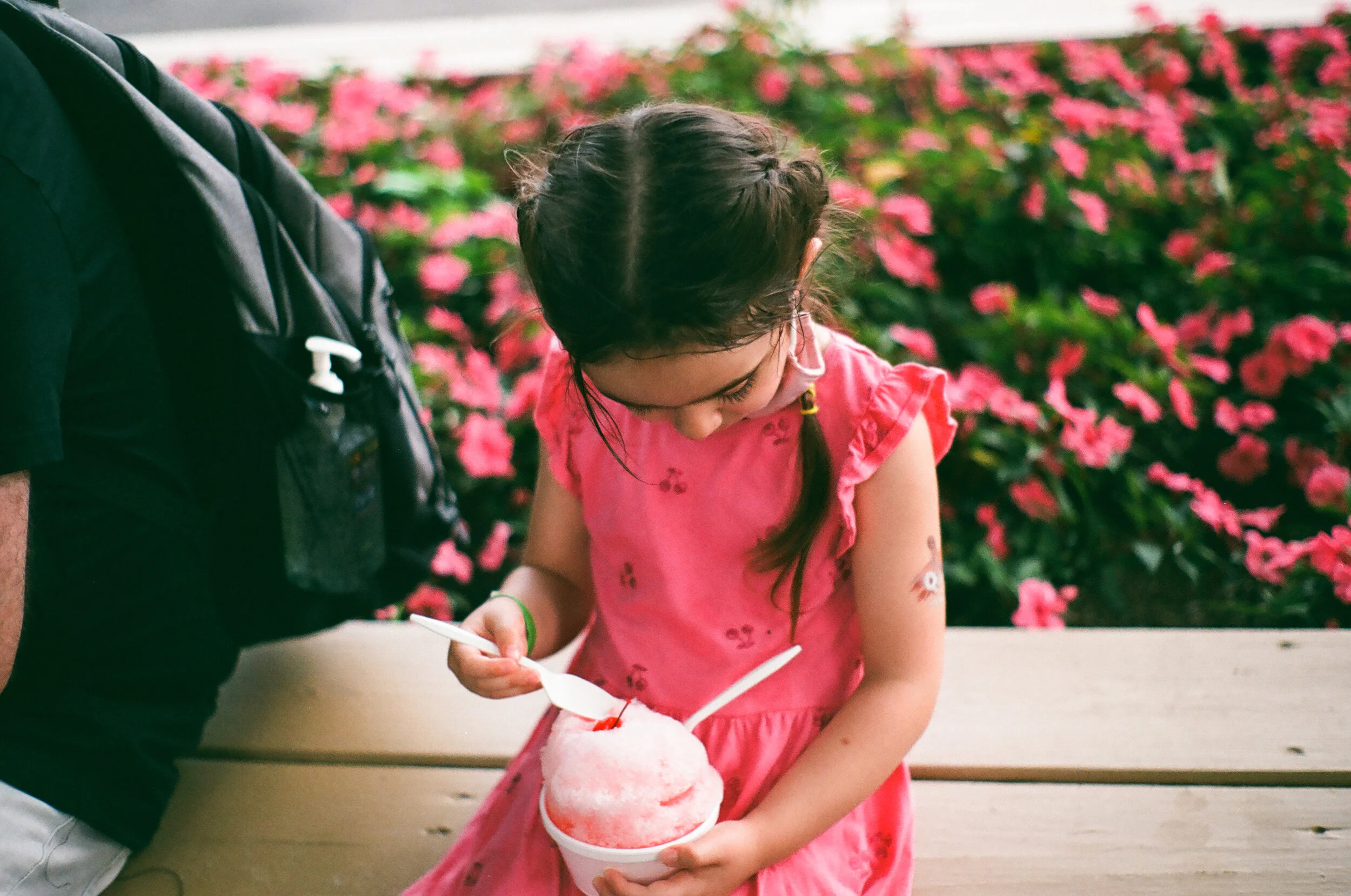 a small girl with two pigtail braids is wearing a pink dress, eating a pink snow cone. There are pink flowers behind her.