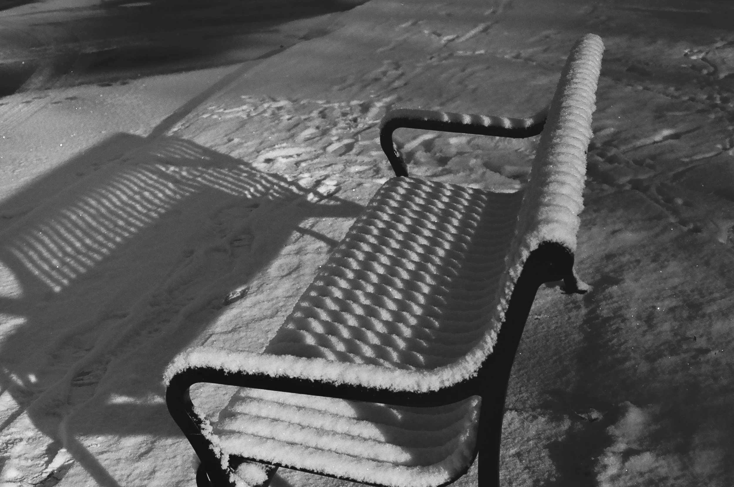 tri-x-bench.jpg
