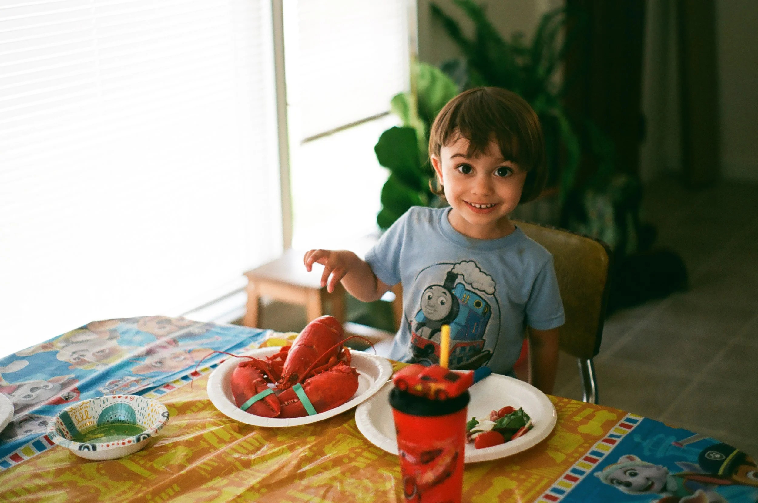 A small child sits at a tale with a paper plate in front of them and on it is a bright red lobster. They have dark hair and eyes. They are wearing a blue Thomas the Train T-shirt.