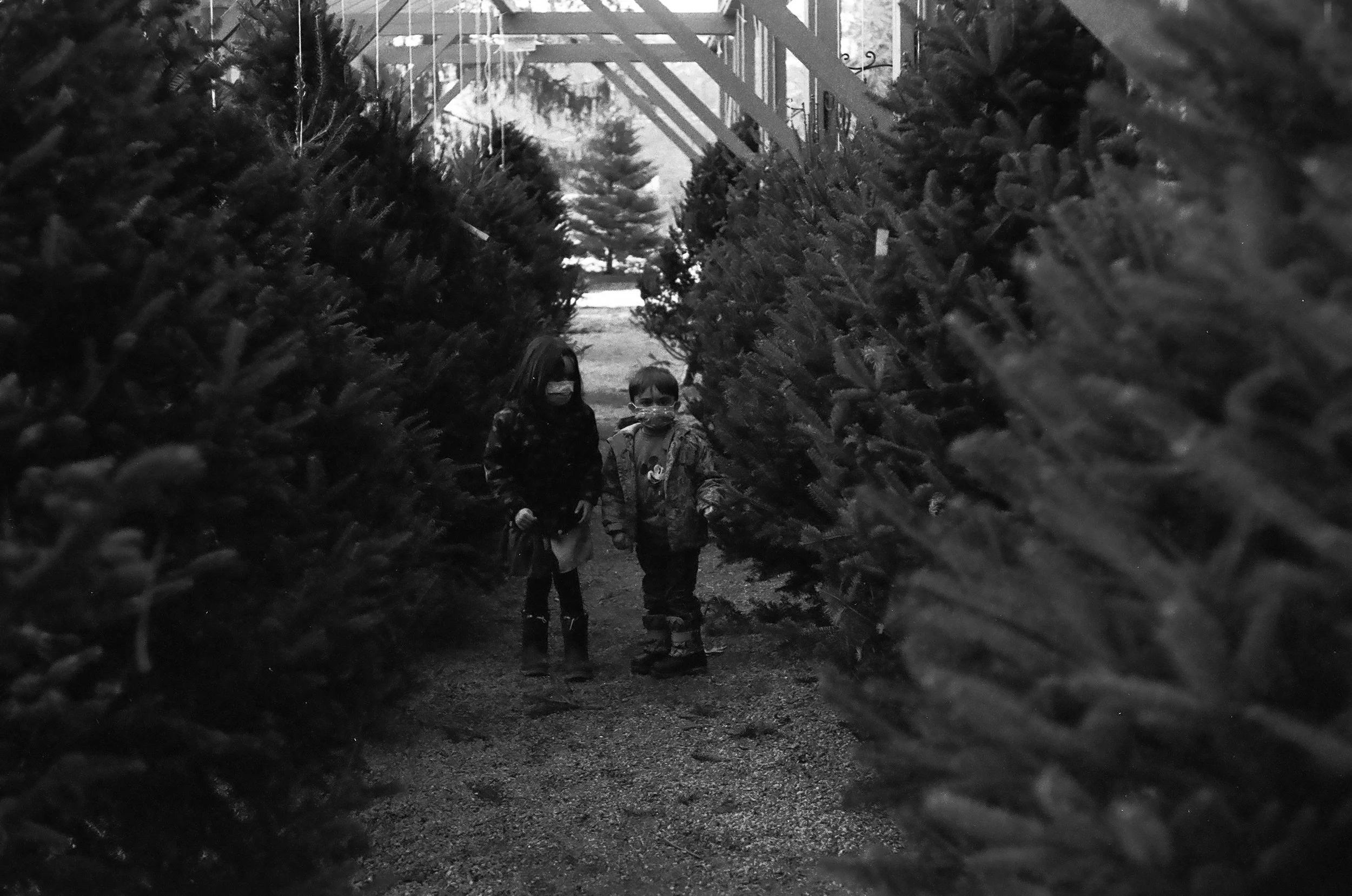 a black and white film image of two masked children in a Christmas tree farm.