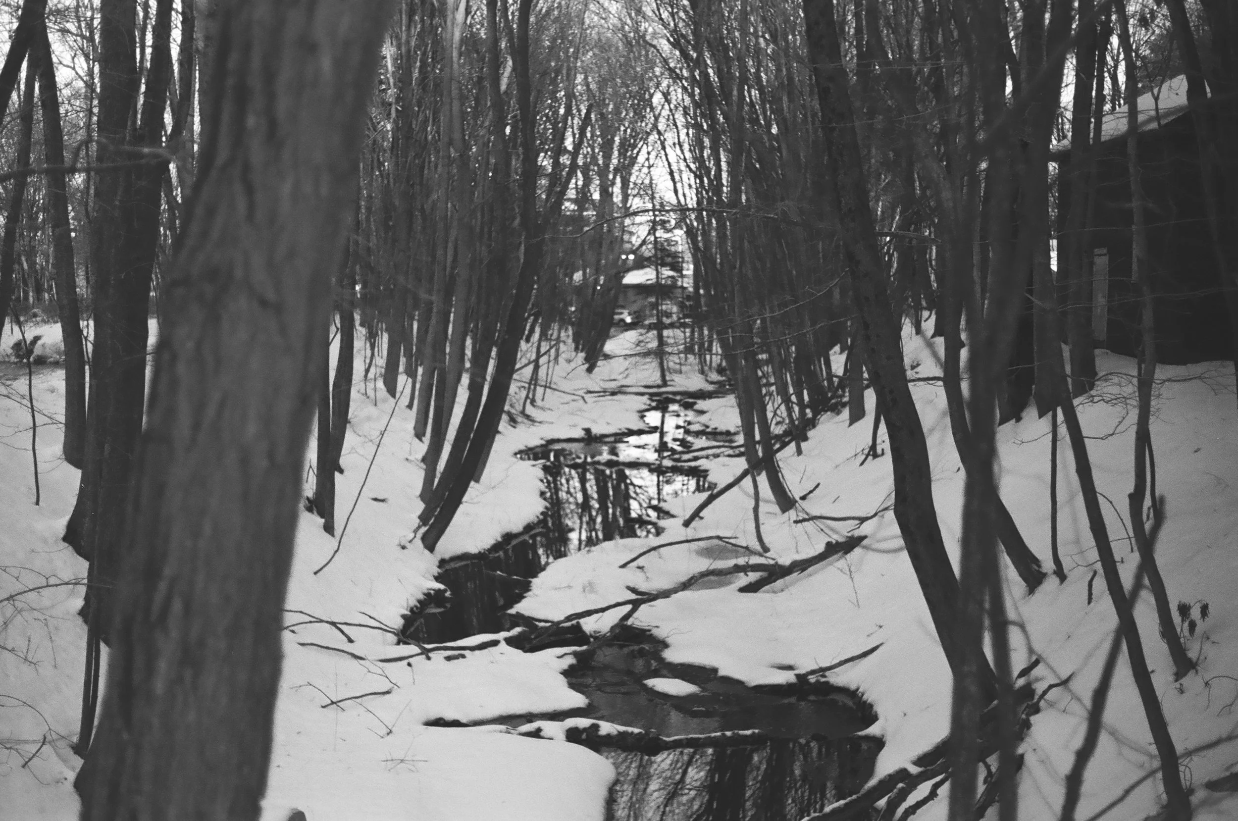 an image of a snowy brook in the forest