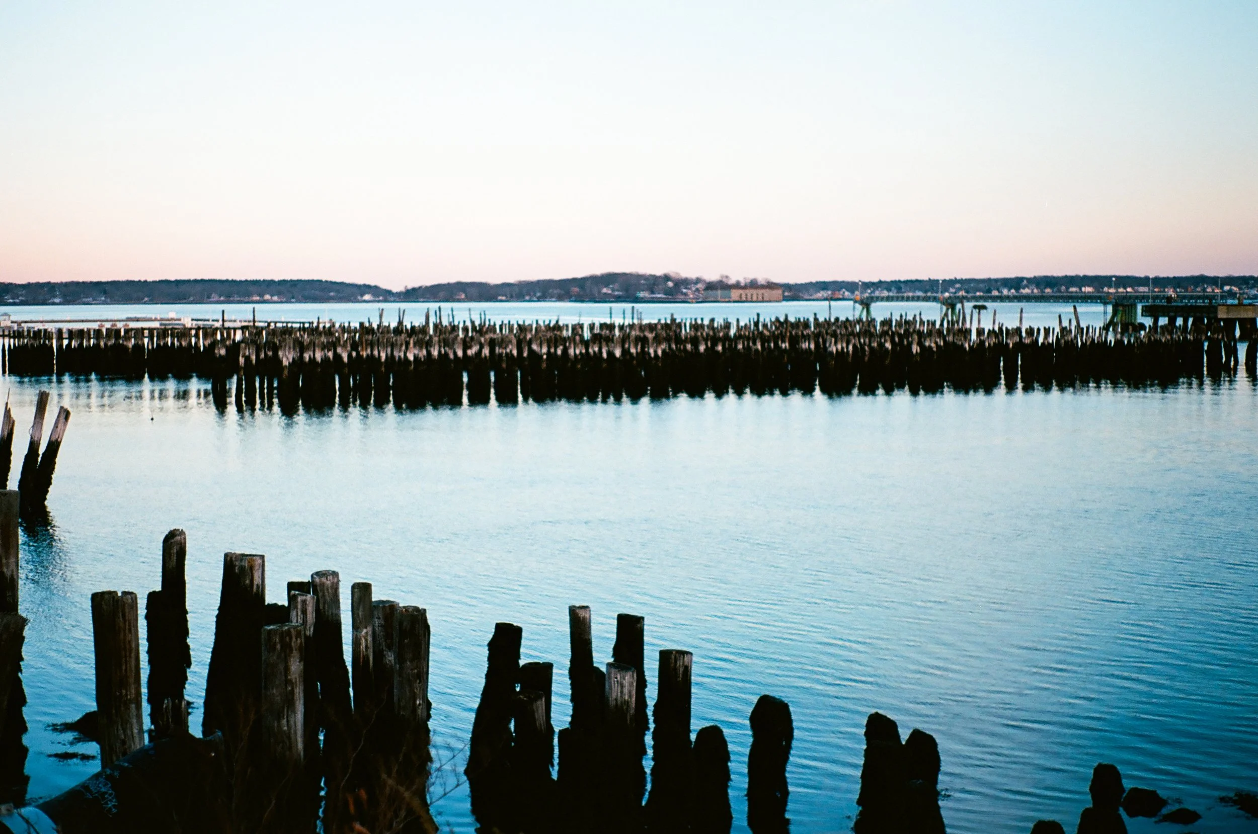 Old Dock pilings in Casco Bay, Portland, Maine. 2021