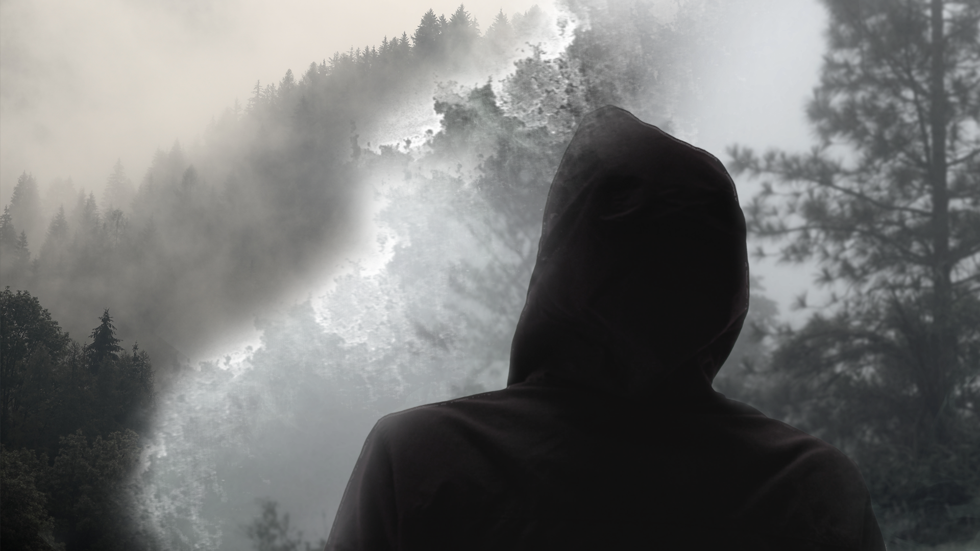 MIST_IMG02_0224_v01.png
