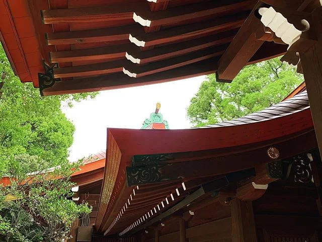 Meiji Shrine detail.