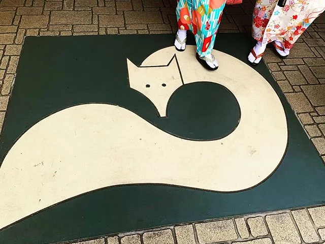 Happy accident #kitsune #kyoto